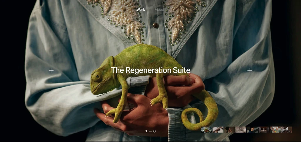 Página inicial do portefólio de Camille Mormal: fotografia de ecrã inteiro de um camaleão pousado em duas mãos, com o título do projeto «The Regeneration Suite».
